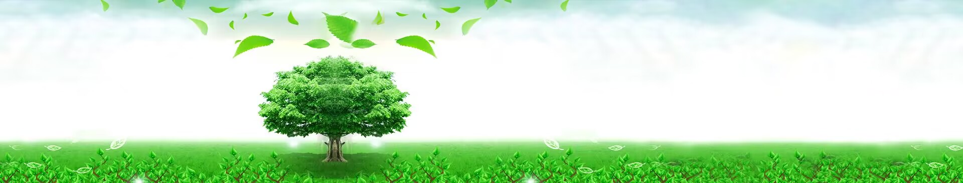 আমাদের সম্পর্কে